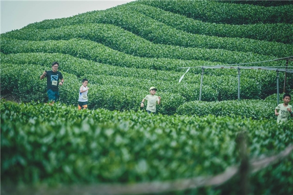 星空体育官网acca携手cheerful trail打造长埭青少年越野赛 助力健康成长(图3)