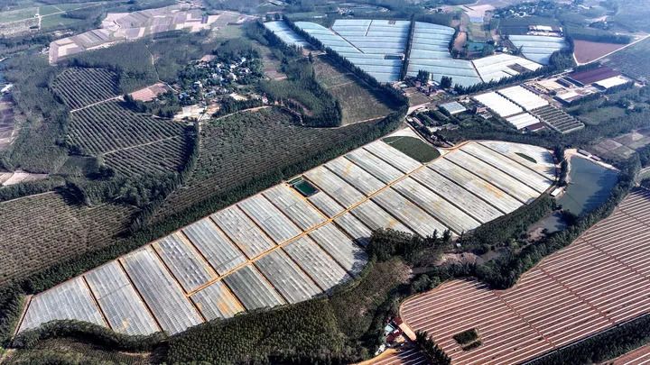 夜访乡镇能看到什么？新华每日电讯记者告诉你(图5)