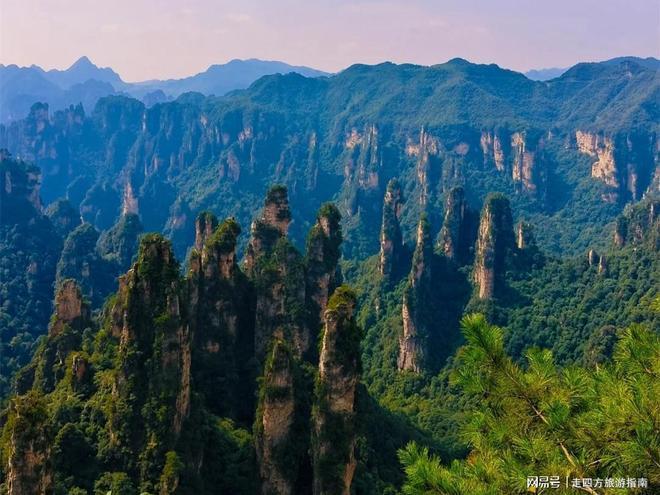张家界五日游攻略：暑假家庭游芙蓉镇凤凰古城 本地向导报价(图3)