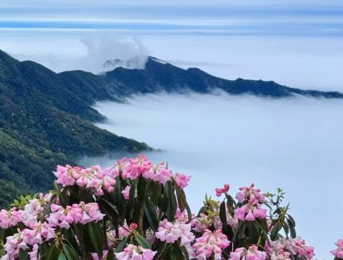 贵州旅游别瞎做攻略！口碑最好旅行社旅游团5 天玩遍核心景点(图8)