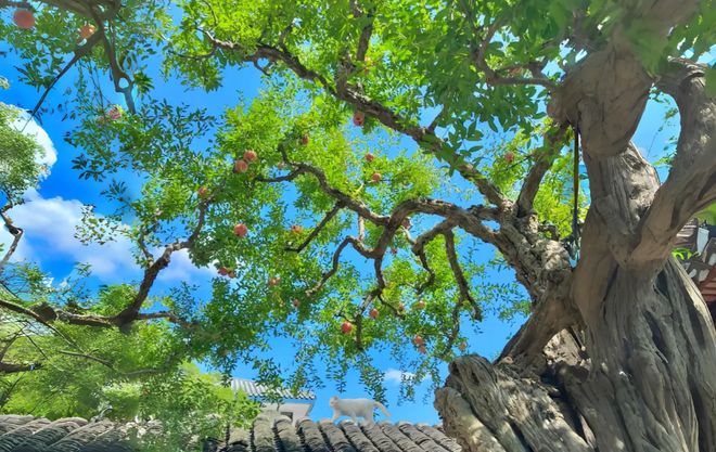 “肌营养不良绝非绝症！”(图2)