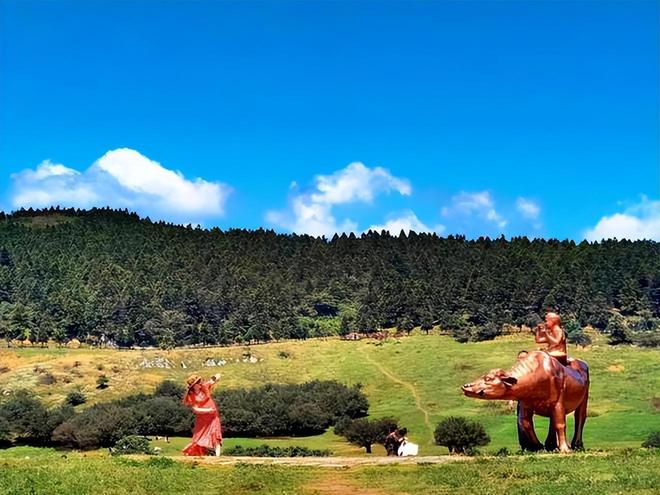 重庆带小孩纯玩6日游多少钱重庆亲子跟团游六天五晚线路推荐(图3)