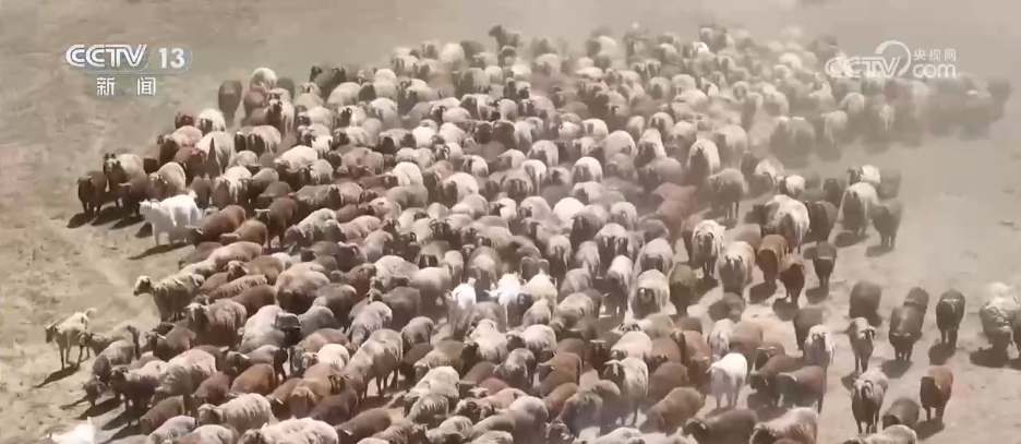 “商文旅”融合催热假日经济 “花样”民俗点燃消费市场新引擎(图4)