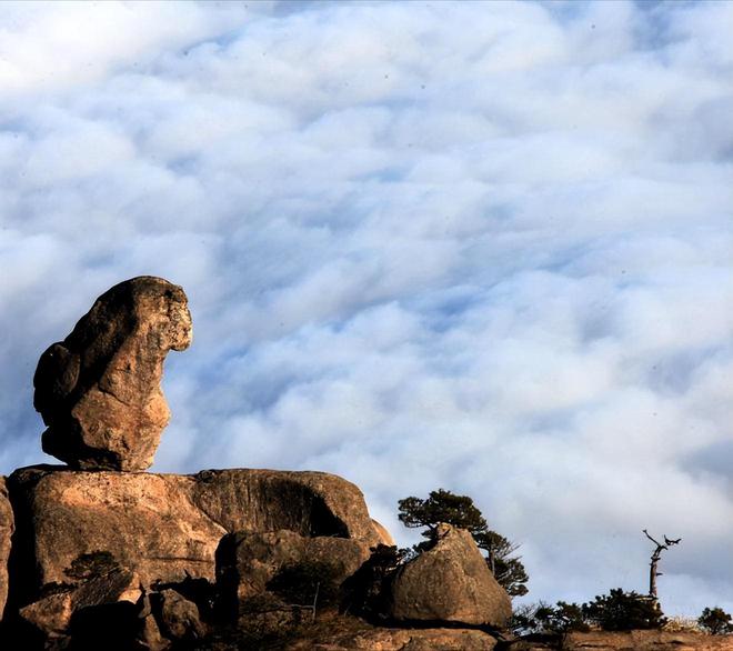 黄山2日游带孩子跟团攻略黄山4人参团两日游人均旅游费用(图4)