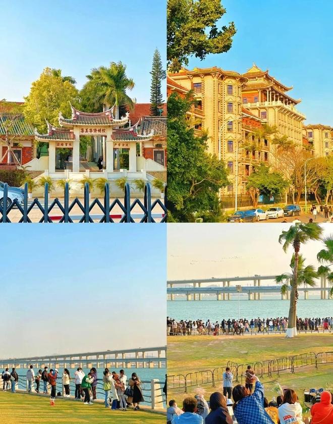 带爸妈和娃报厦门5天4晚纯玩团厦门秋日纯玩团攻略+避坑指南(图2)