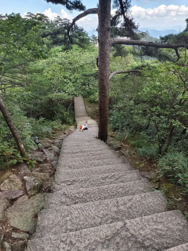 参团到黄山旅游4天行程路线安排攻略黄山旅游四天需要多少钱(图2)