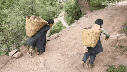 香港情侣在5平米廉租房中的一幕彻底撕开了穷人最心酸的遮羞布！(图5)