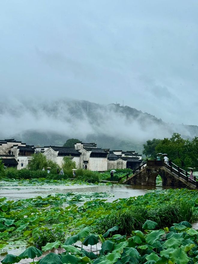 黄山4天3晚报团价格是多少？黄山四日旅游路线怎么安排划算？(图3)