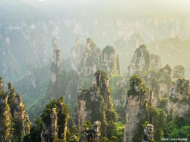 张家界五日游攻略：张家界森林公园+天门山老年团注意事项最新(图1)